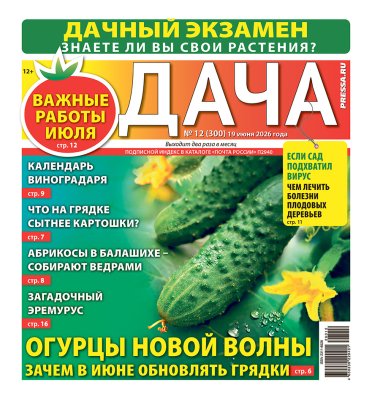 Газета ДАЧА